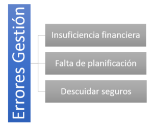 errores-de-gestion