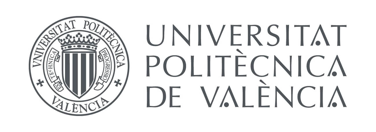 master universidad politecnica valencia Ecommaster